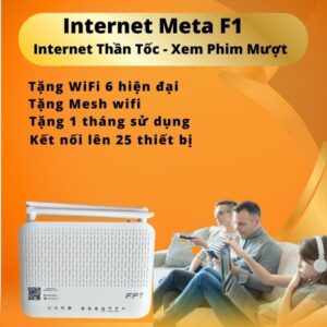 Mạng internet Meta F1