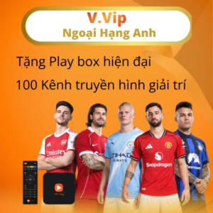 gói cước V.vip